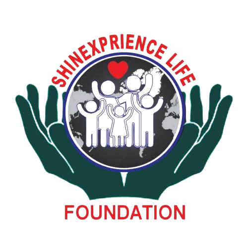 SHINEXPERIENCE LIVE CONFERENCE logo